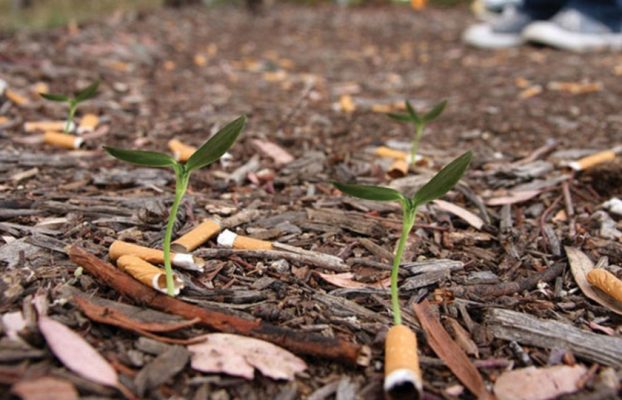 El problema de las colillas o el tabaquismo